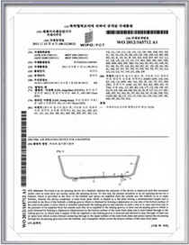 International Patent Publication