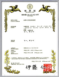 Japanese Patent Application