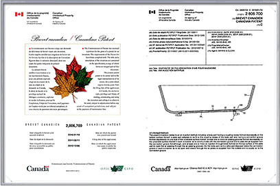 Canadian Patent Application